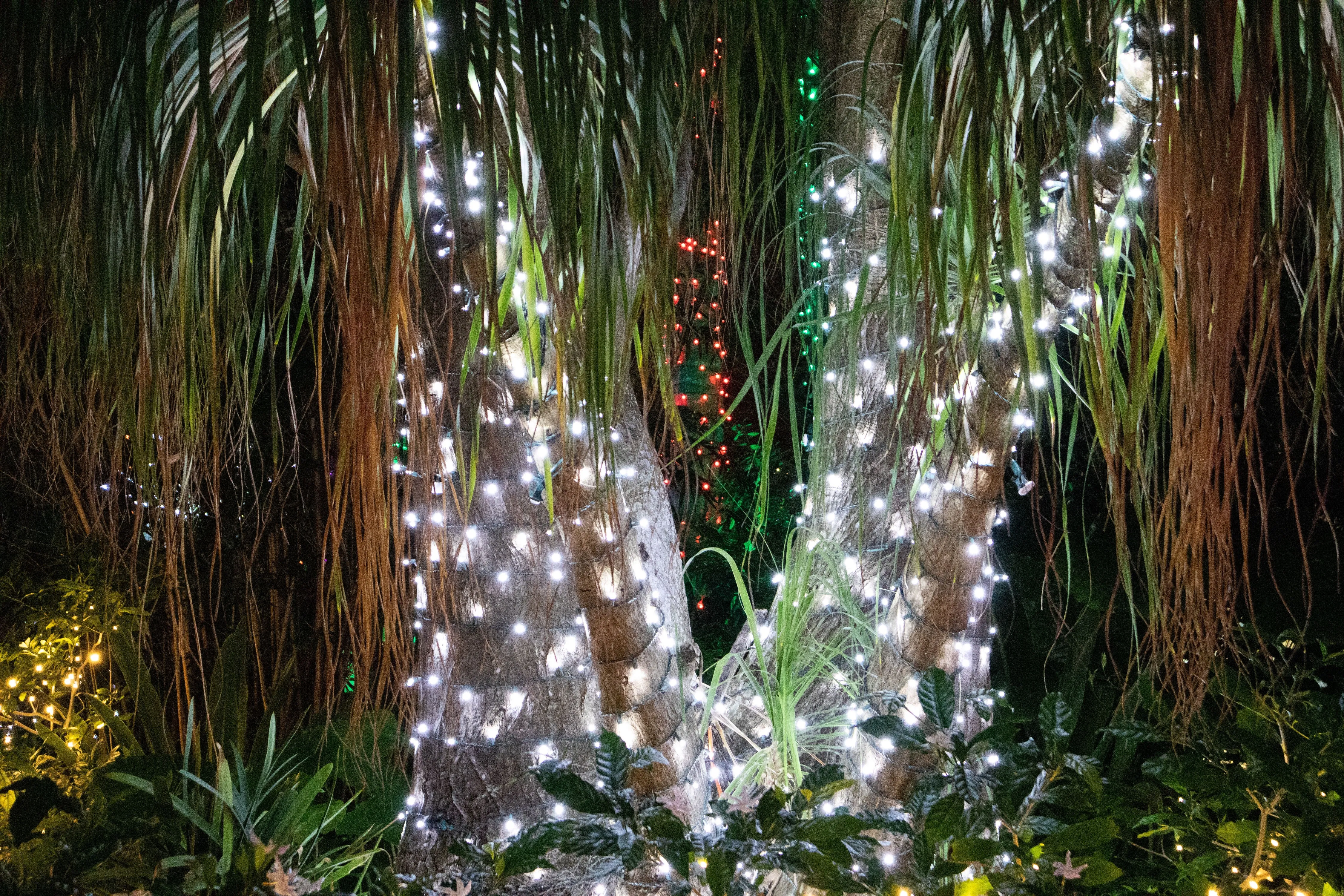5mm LED Christmas Lights 35L Pure White