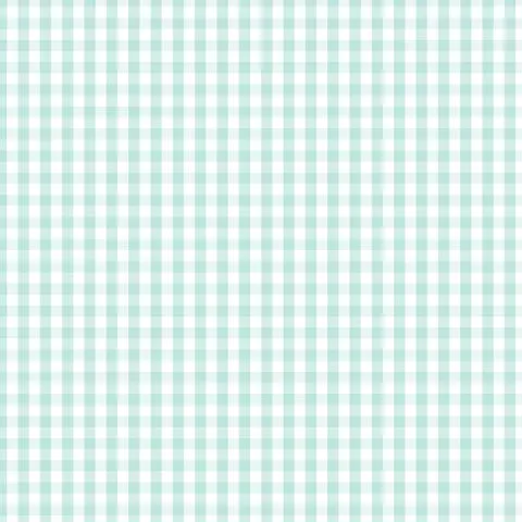 Devonstone Fundamentals - DV2874 -  Check Seafoam