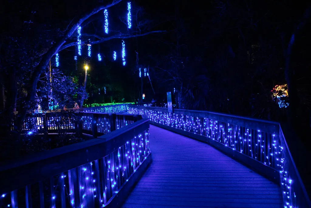 M5 70L LED Christmas Lights BLUE