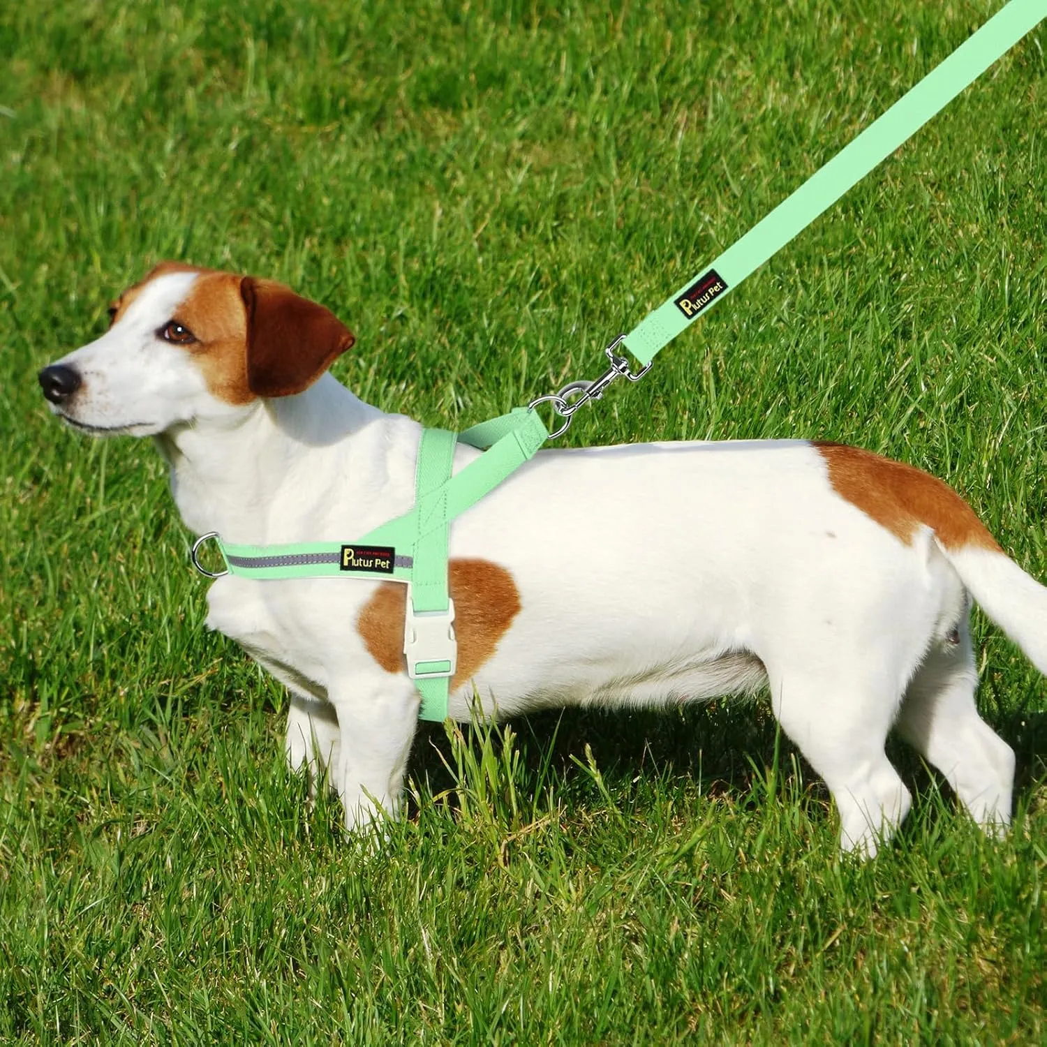 Plutus Pet Cotton Dog Harness and Leash Set, Reflective and Soft Padded, Quick Fit Vest Harness, for Small, Medium and Large Dogs, Light Green, S
