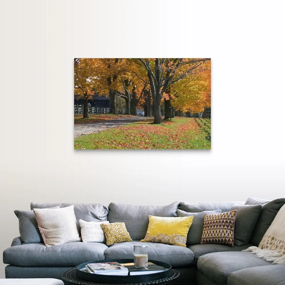 "Autumn trees surrounding driveway" Canvas Wall Art