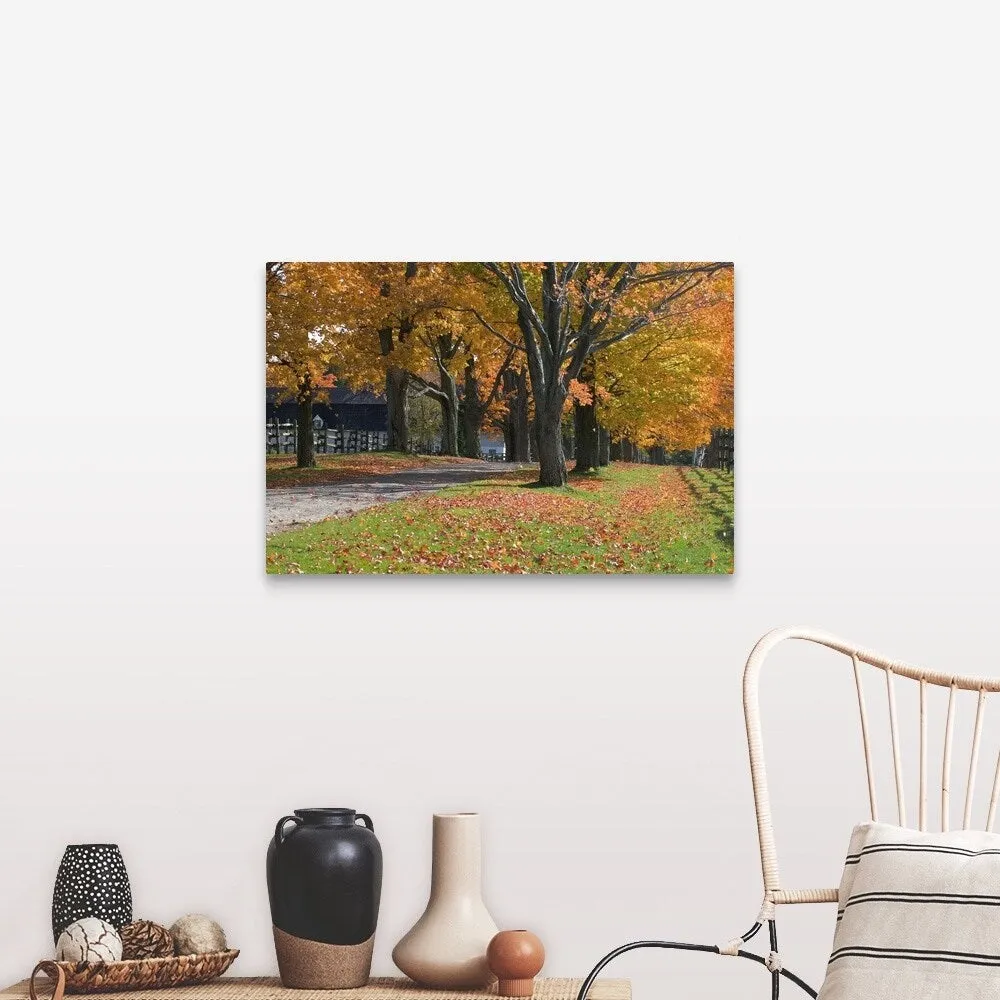"Autumn trees surrounding driveway" Canvas Wall Art