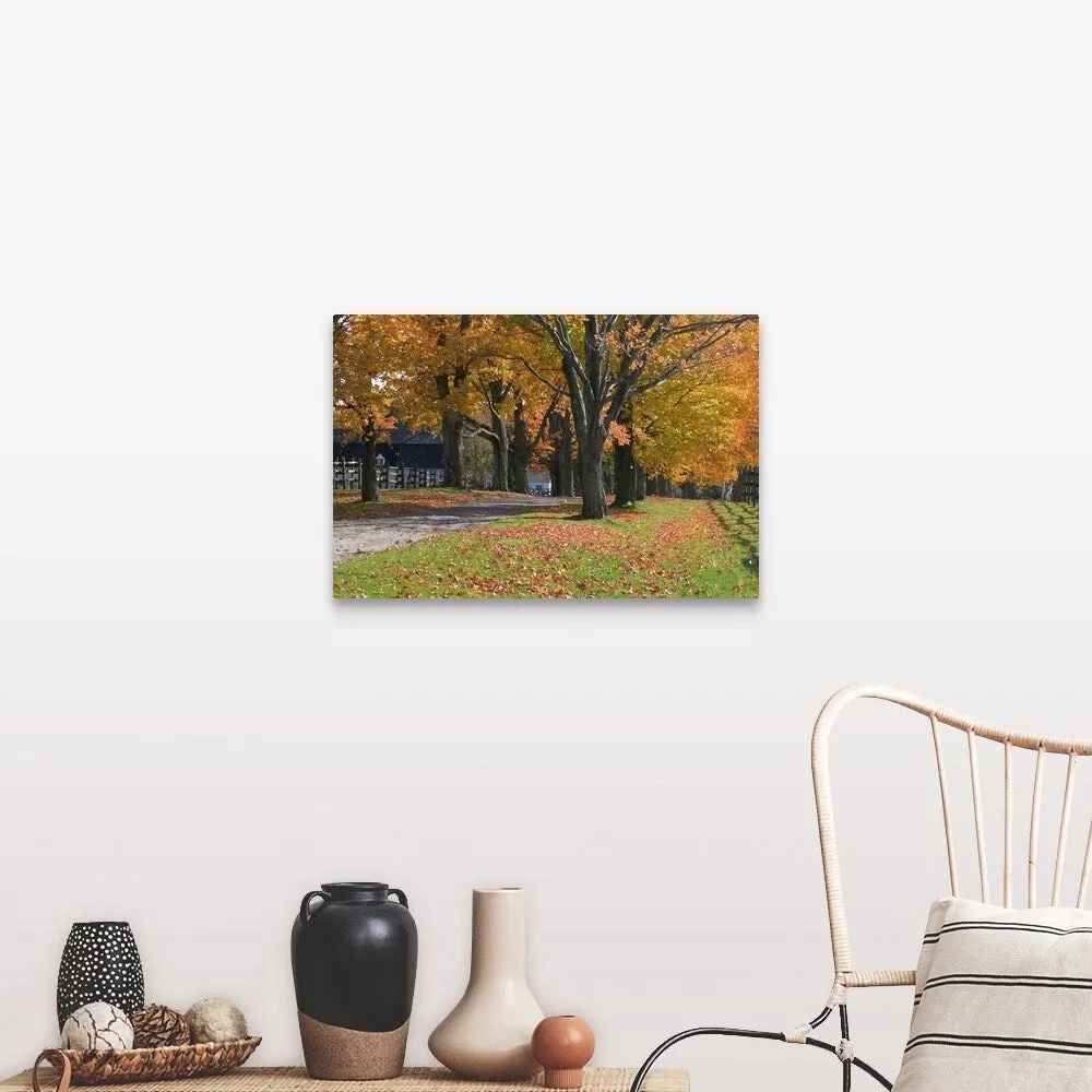 "Autumn trees surrounding driveway" Canvas Wall Art