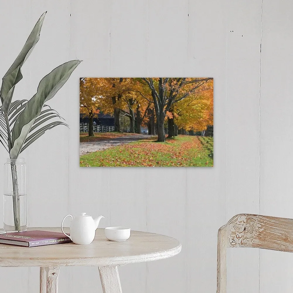 "Autumn trees surrounding driveway" Canvas Wall Art